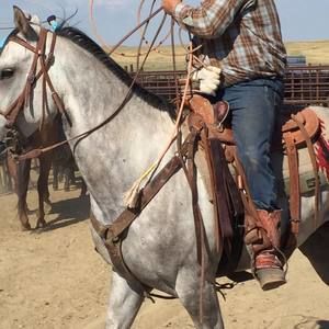 Meet your Posher, Dustin